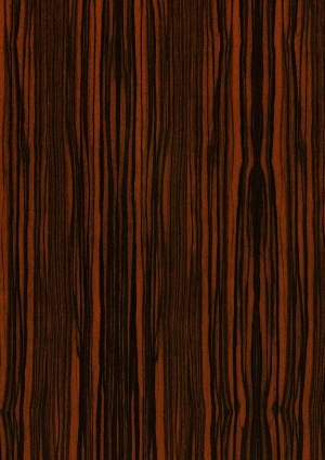 ModernWood Texture
