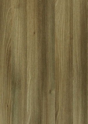 ModernWood Texture
