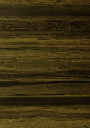 ModernWood Texture