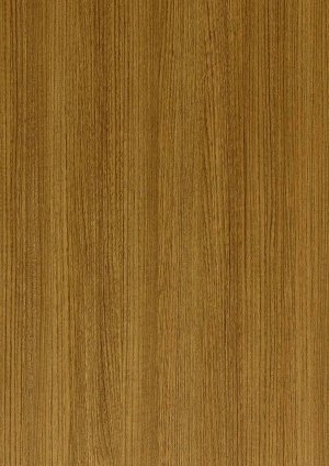 ModernWood Texture
