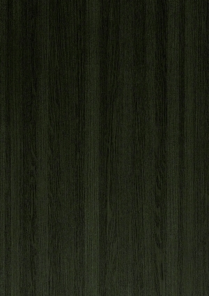 ModernWood Texture