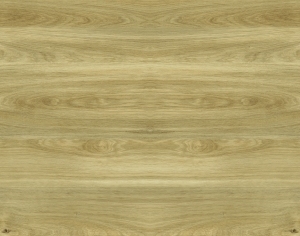ModernWood Texture