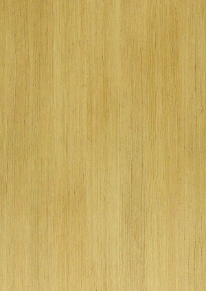 ModernWood Texture