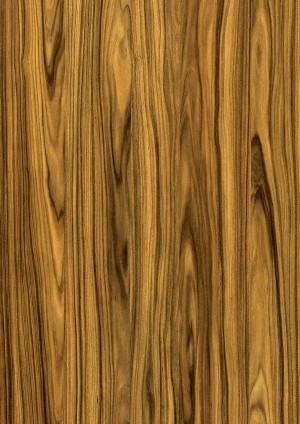 现代木纹-ID:287288905