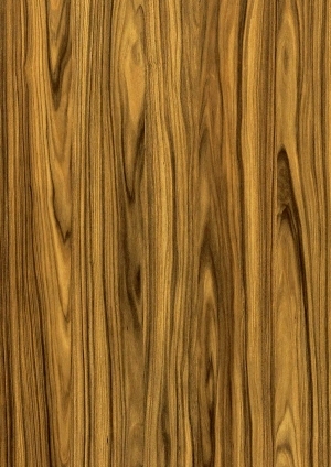 ModernWood Texture