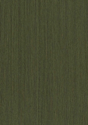 ModernWood Texture