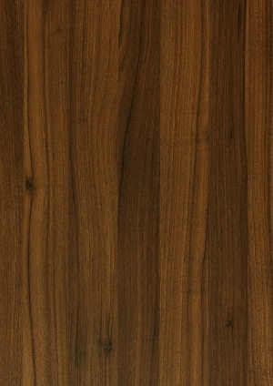ModernWood Texture