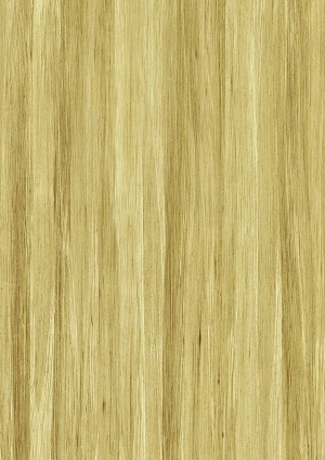 ModernWood Texture