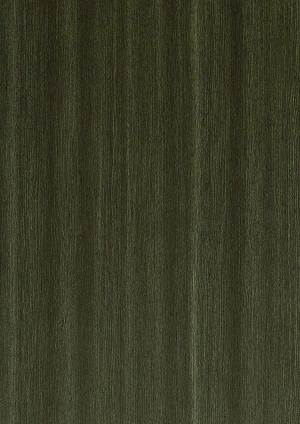 ModernWood Texture