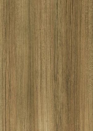 ModernWood Texture