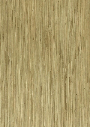 ModernWood Texture