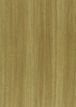 现代木纹-ID:440160044