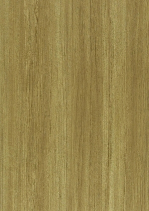 ModernWood Texture