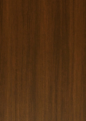现代木纹-ID:299772028