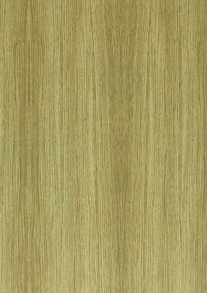 ModernWood Texture