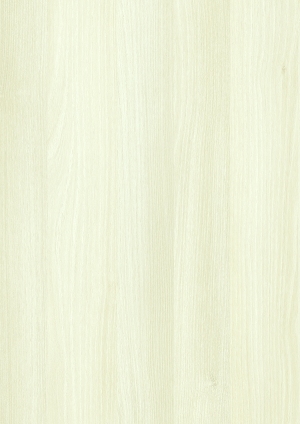 ModernWood Texture