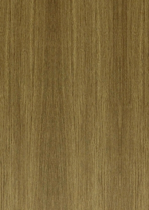 ModernWood Texture