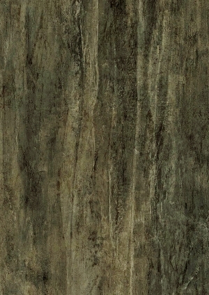 ModernWood Texture