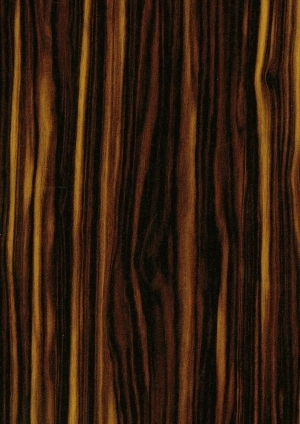 ModernWood Texture