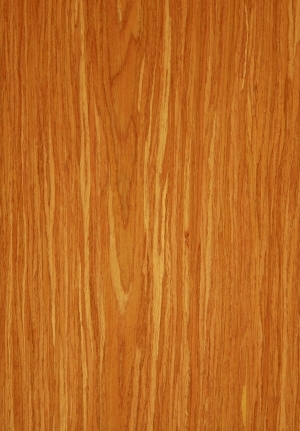 ModernWood Texture