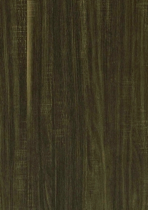 ModernWood Texture