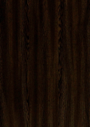 ModernWood Texture