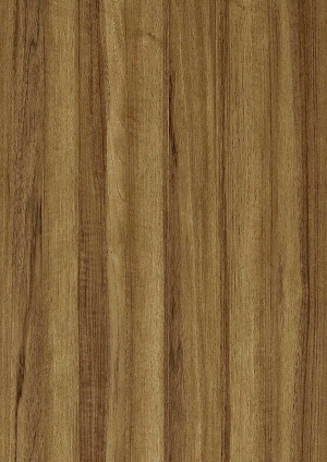 ModernWood Texture