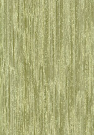ModernWood Texture