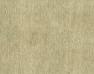 ModernWood Texture