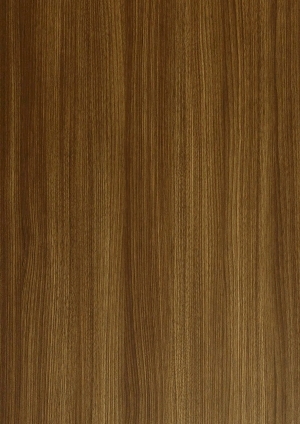 ModernWood Texture