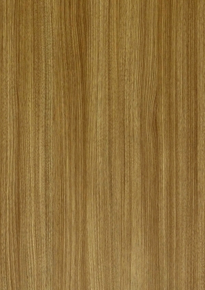 ModernWood Texture