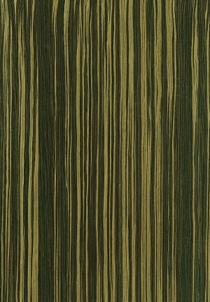 ModernWood Texture