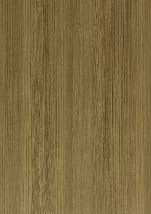 ModernWood Texture