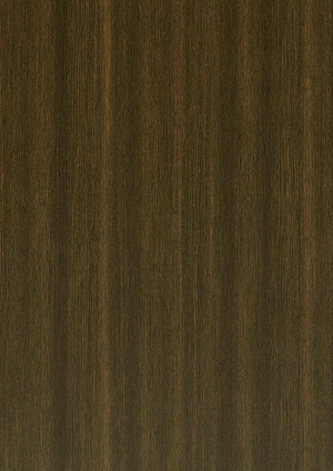ModernWood Texture