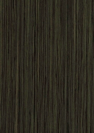 ModernWood Texture