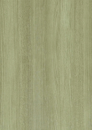 ModernWood Texture