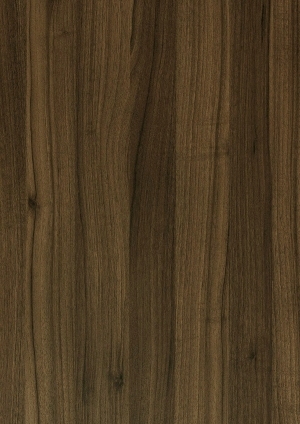 ModernWood Texture