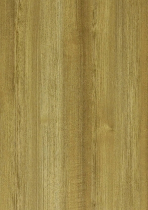ModernWood Texture