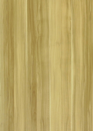 现代木纹-ID:545856009