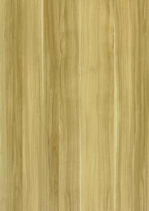 ModernWood Texture