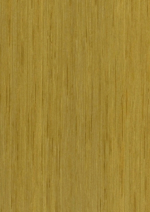 ModernWood Texture