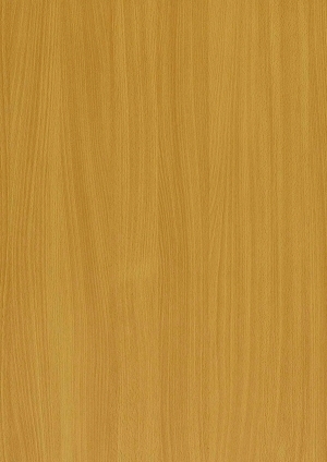 ModernWood Texture
