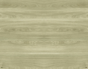 ModernWood Texture