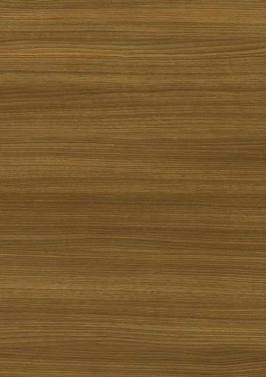 ModernWood Texture