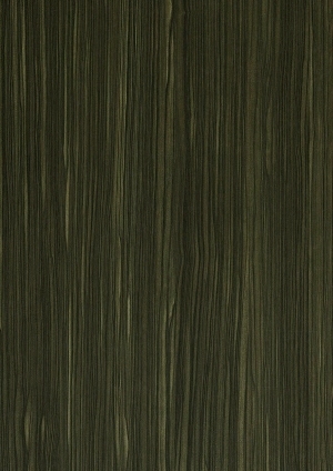 ModernWood Texture