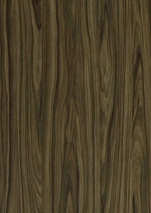 ModernWood Texture