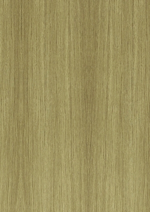 ModernWood Texture