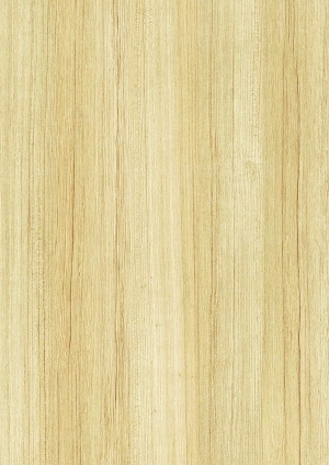 ModernWood Texture