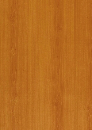 ModernWood Texture