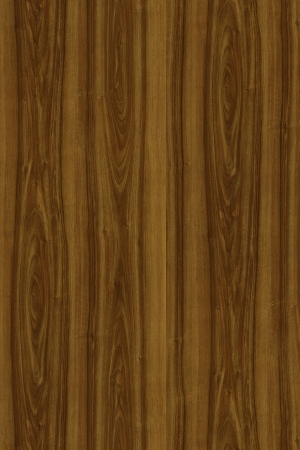 ModernWood Texture